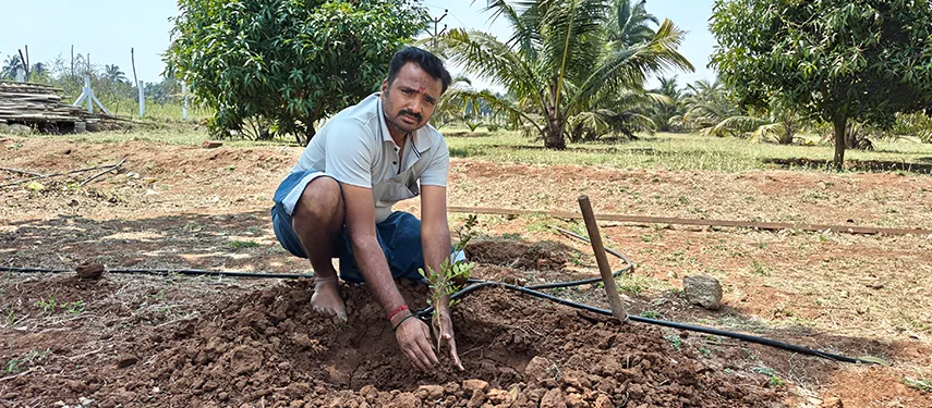 Planting Green on Special Days